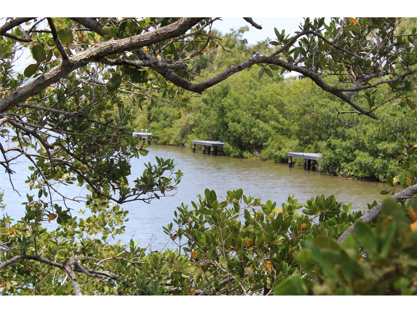 9722 Indian Key Trail #116 Seminole FL 33776 TB8473022 image58