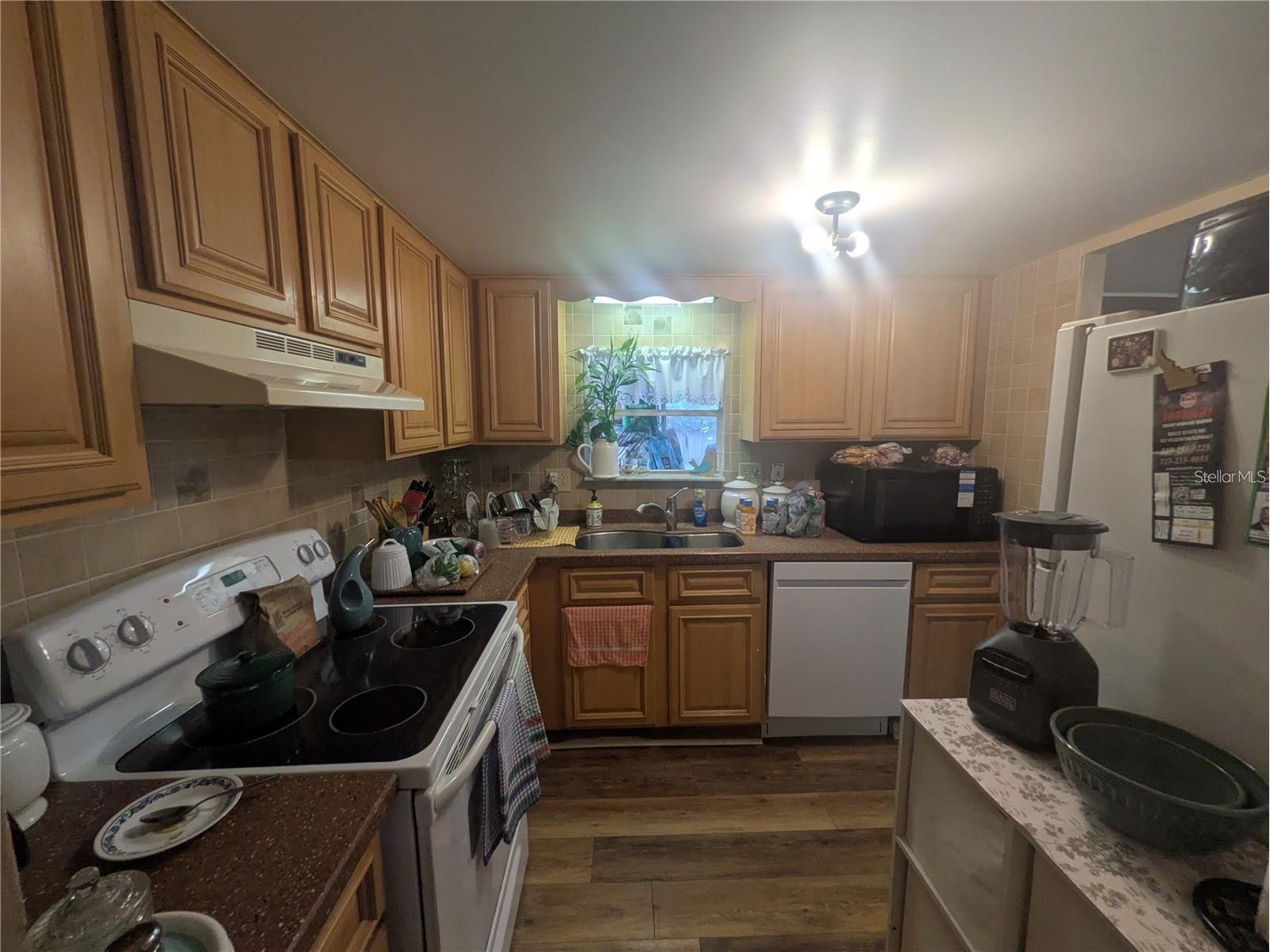 9722 Ray Street Hudson FL 34669 TB8476250 image11