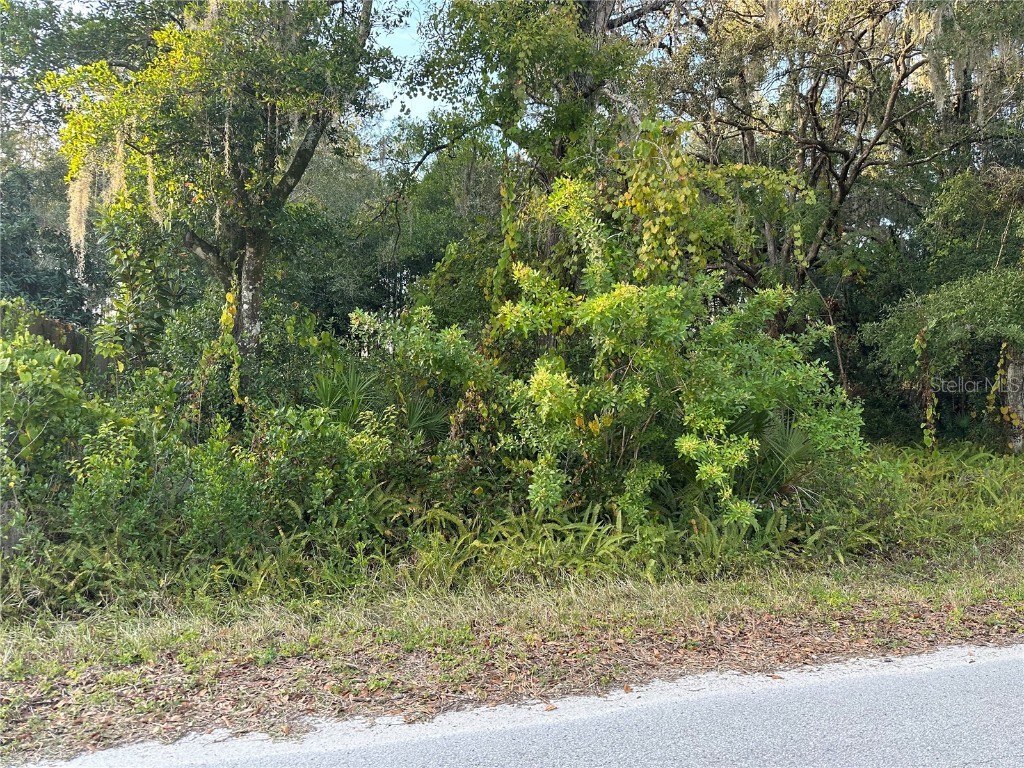 9723 Jerome Drive New Port Richey FL 34654 W7859484 image1