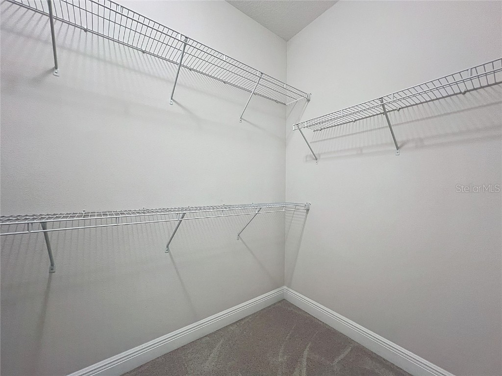 9723 Lost Creek Drive Winter Garden FL 34787 O6359309 image26