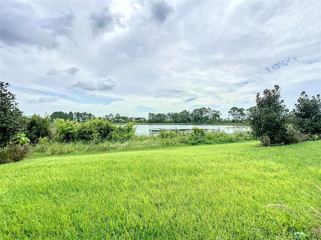 9723 Lost Creek Drive Winter Garden FL 34787 O6359309 image5