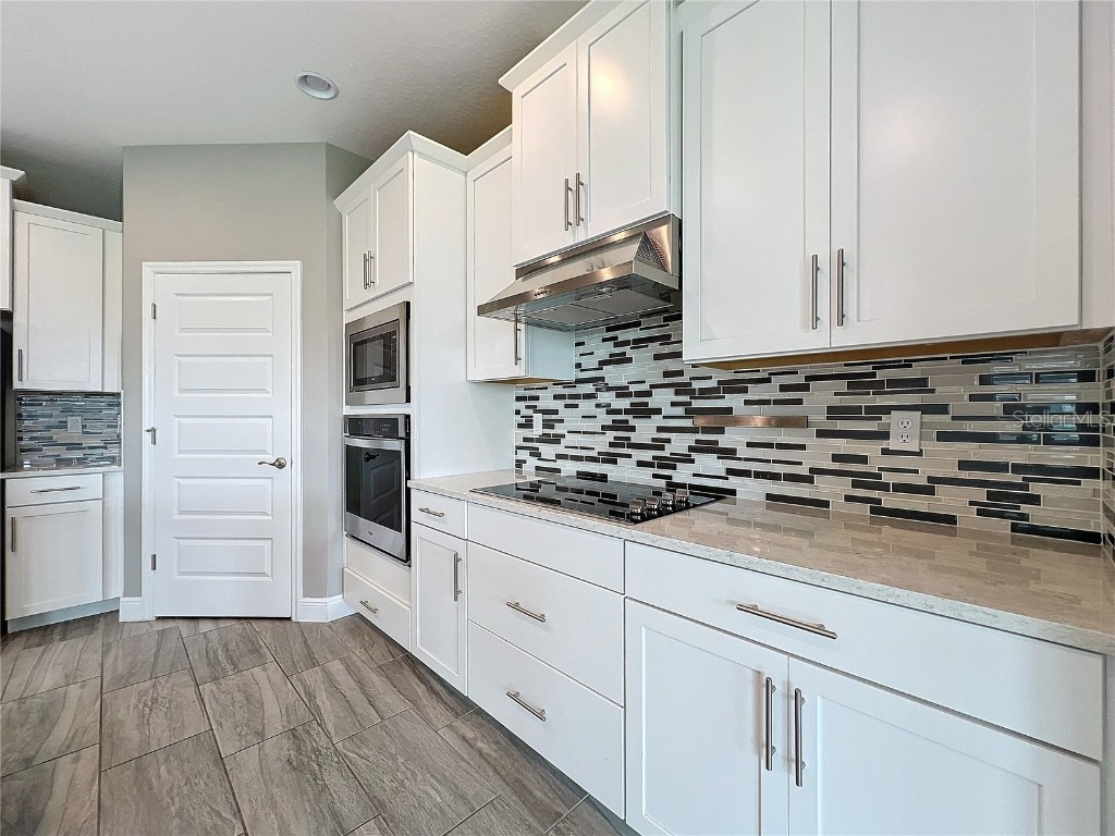 9723 Lost Creek Drive Winter Garden FL 34787 O6359309 image6