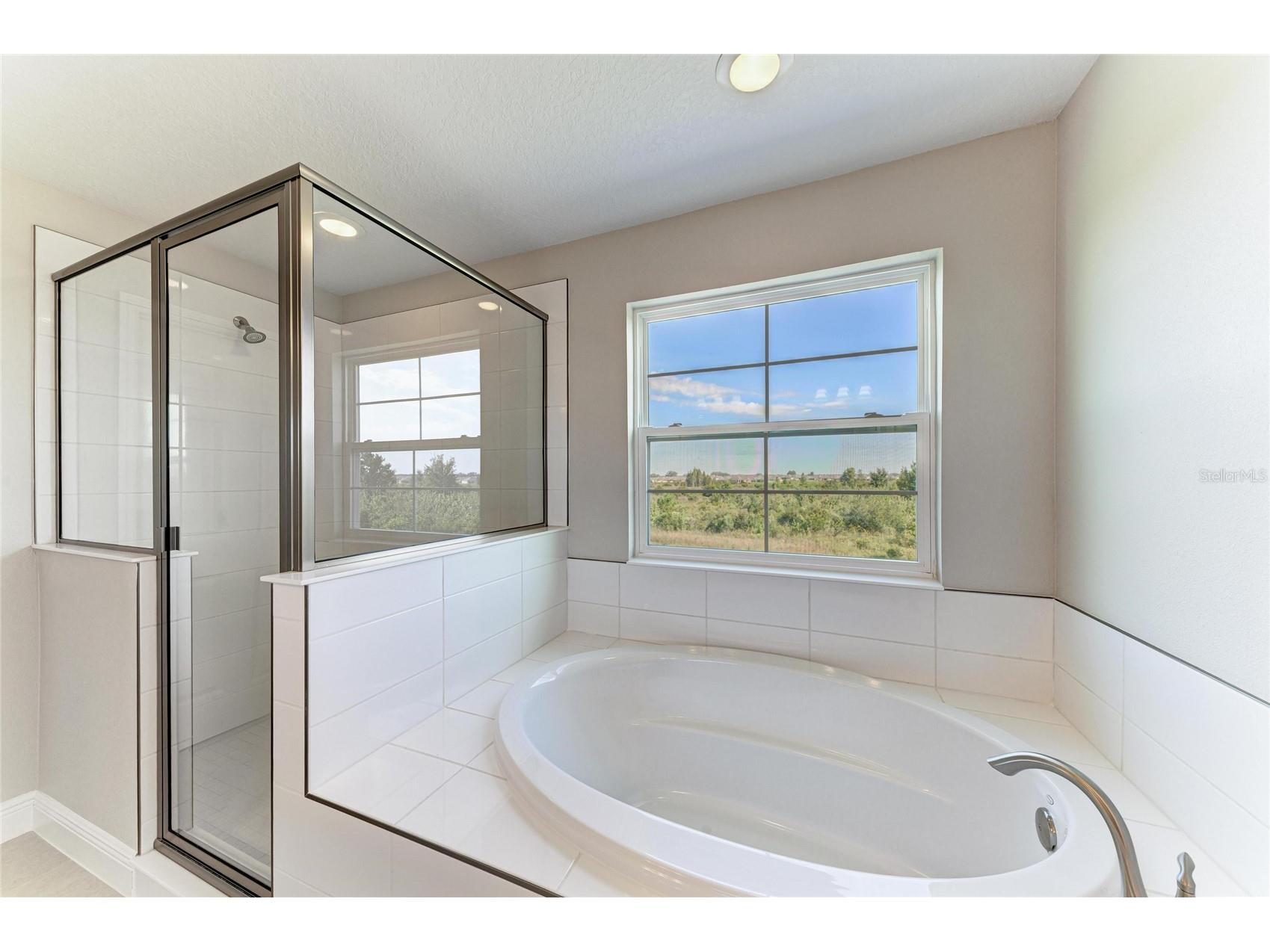 9723 Surrey Rose Drive San Antonio FL 33576 TB8441485 image7