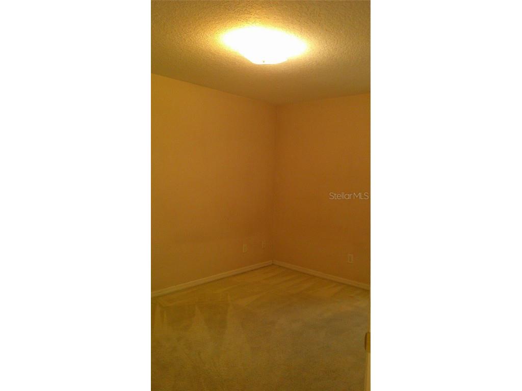 9724 Mary Robin Drive Riverview FL 33569 TB8433876 image11