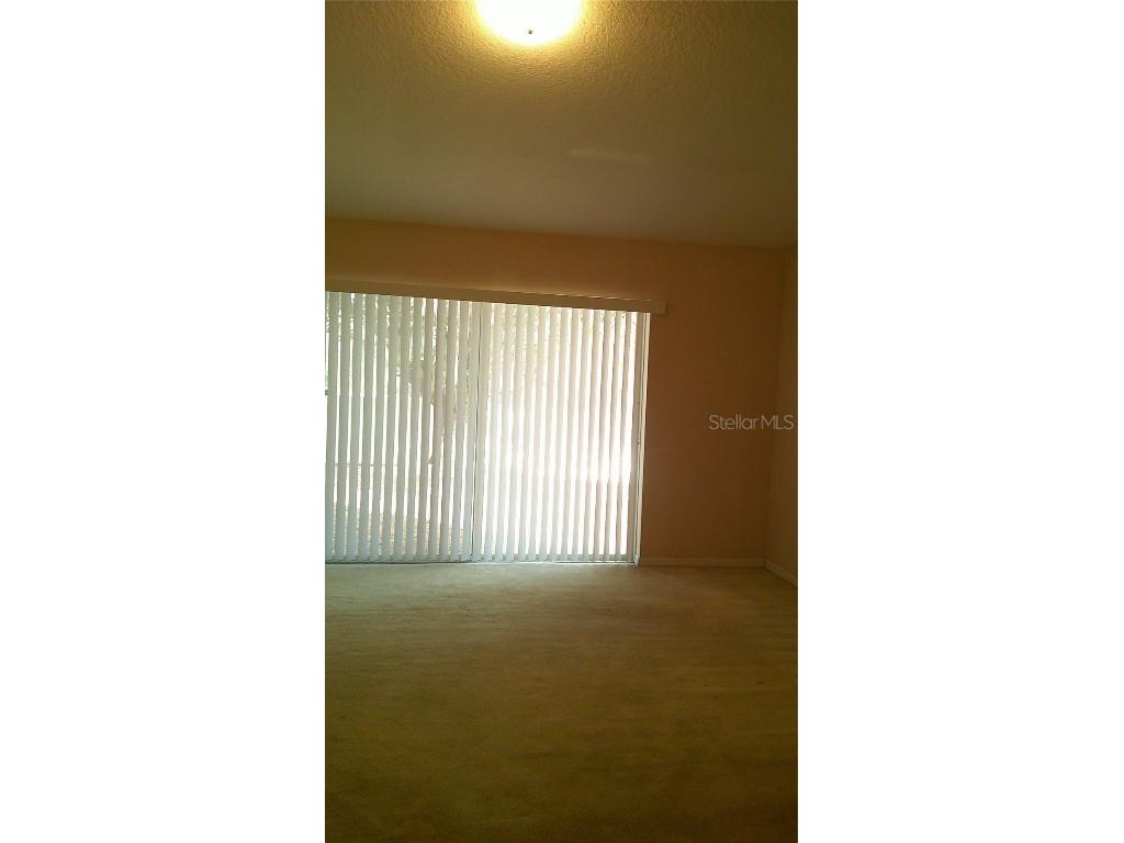 9724 Mary Robin Drive Riverview FL 33569 TB8433876 image15