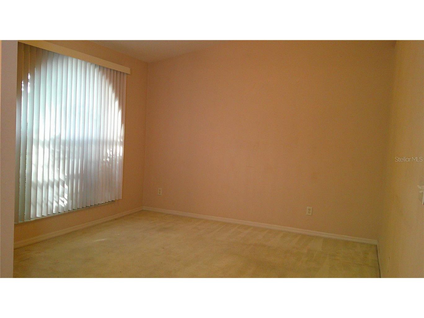 9724 Mary Robin Drive Riverview FL 33569 TB8433876 image4