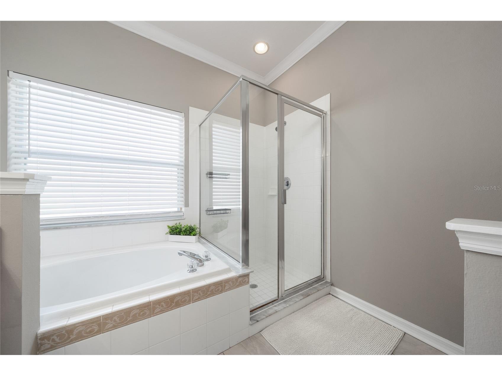 9724 Myrtle Creek Lane Orlando FL 32832 O6403360 image35