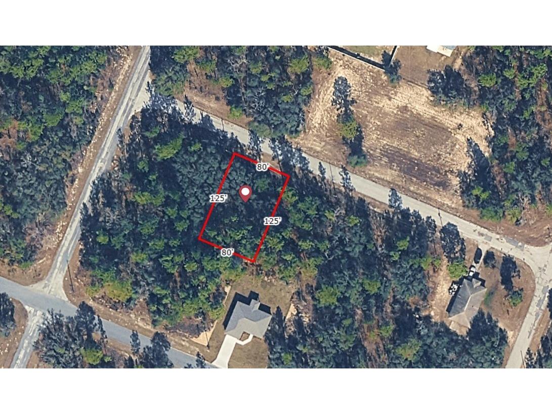 9724 W Calla Lily Drive Dunnellon FL 34433 O6366043 image1