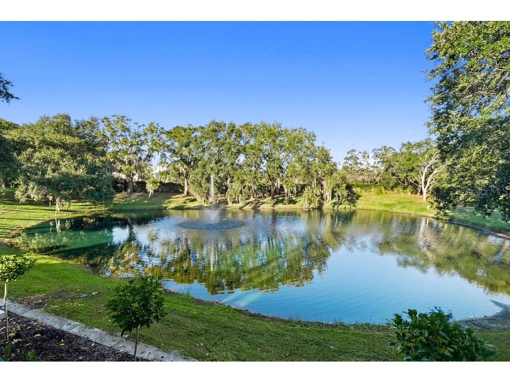 9725 Chestnut Ridge Drive Windermere FL 34786 O6370294 image7