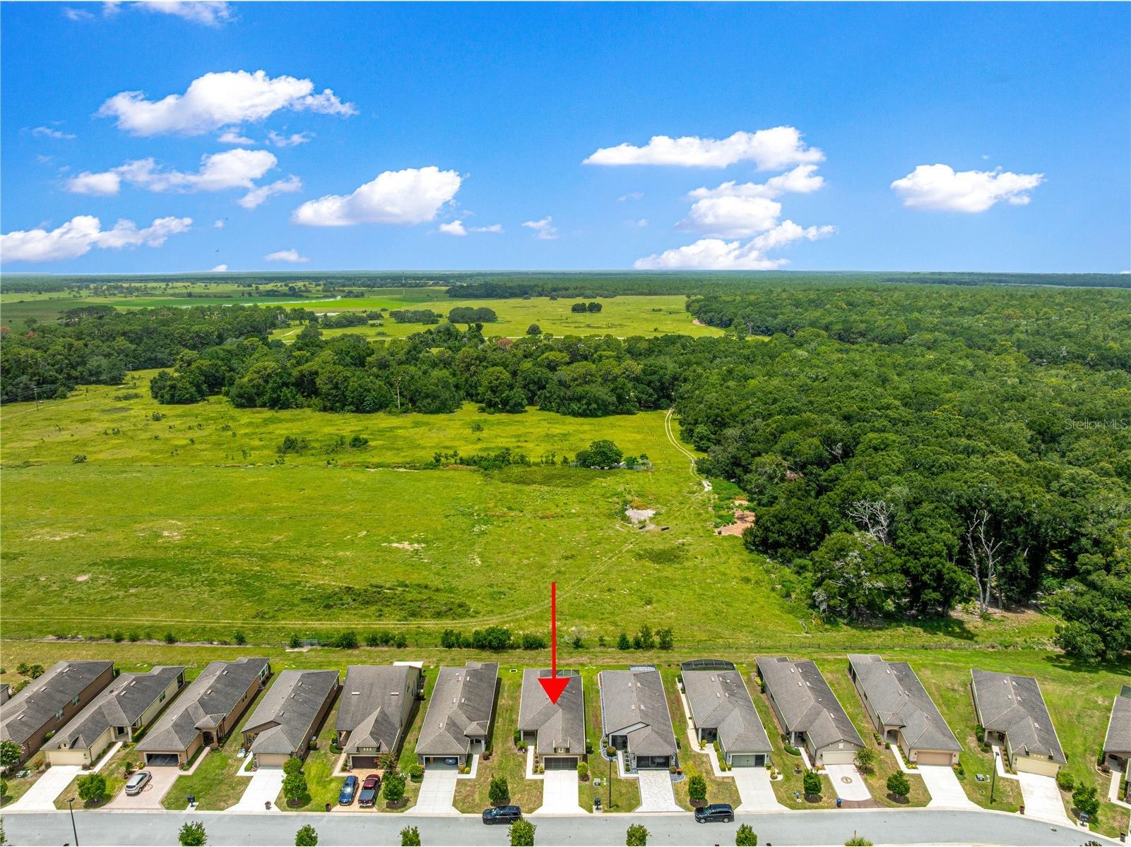 9725 SW 63rd Loop Ocala FL 34481 OM728582 image43