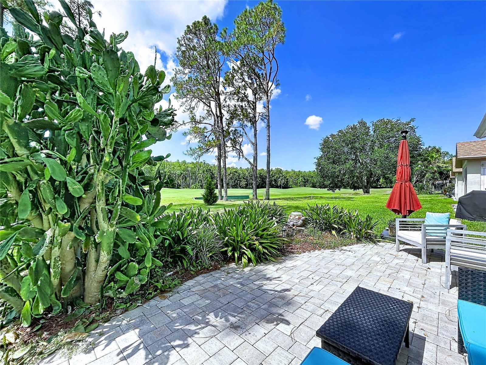 9726 Sweeping View Drive New Port Richey FL 34655 TB8525638 image47