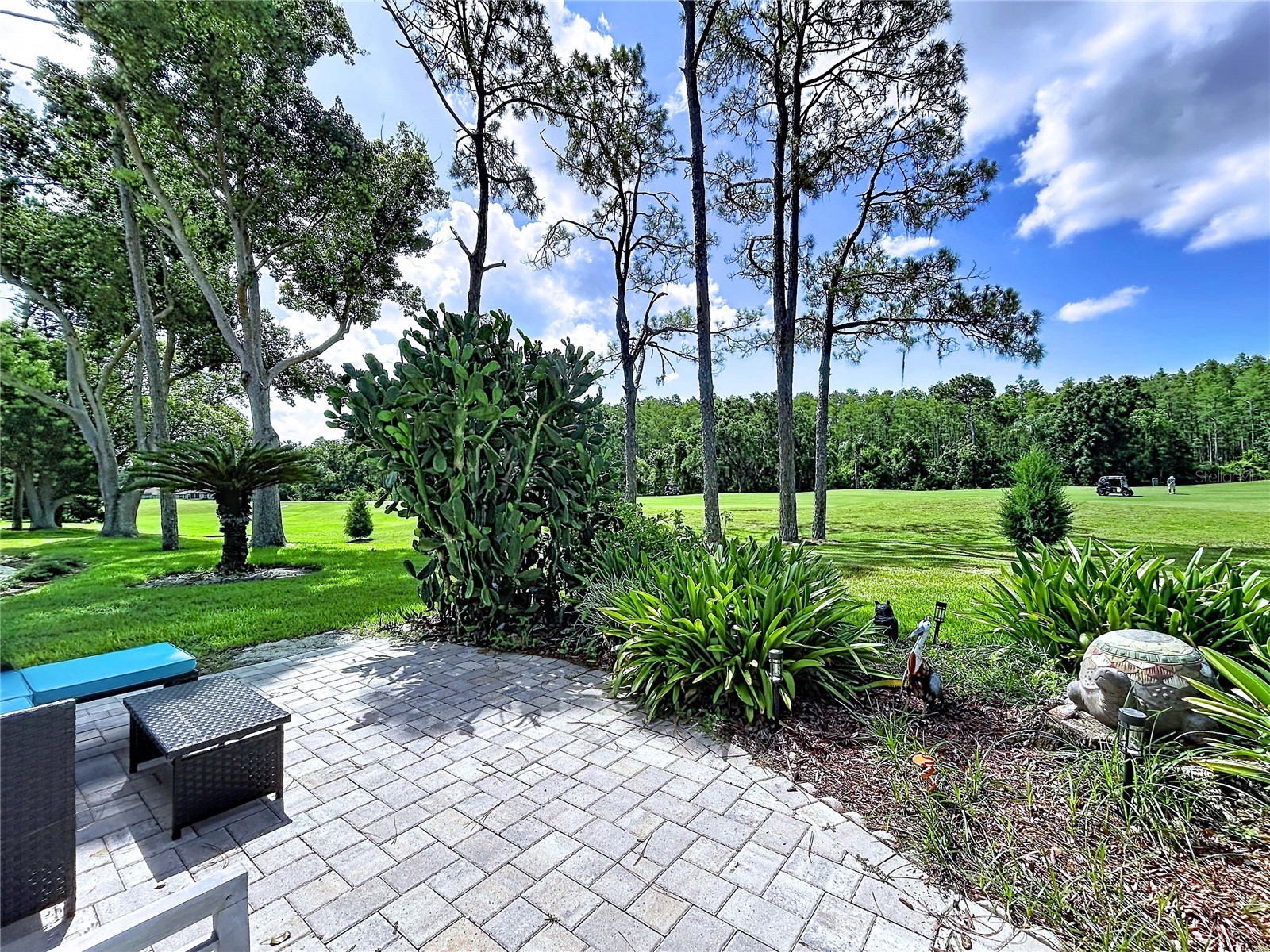 9726 Sweeping View Drive New Port Richey FL 34655 TB8525638 image48