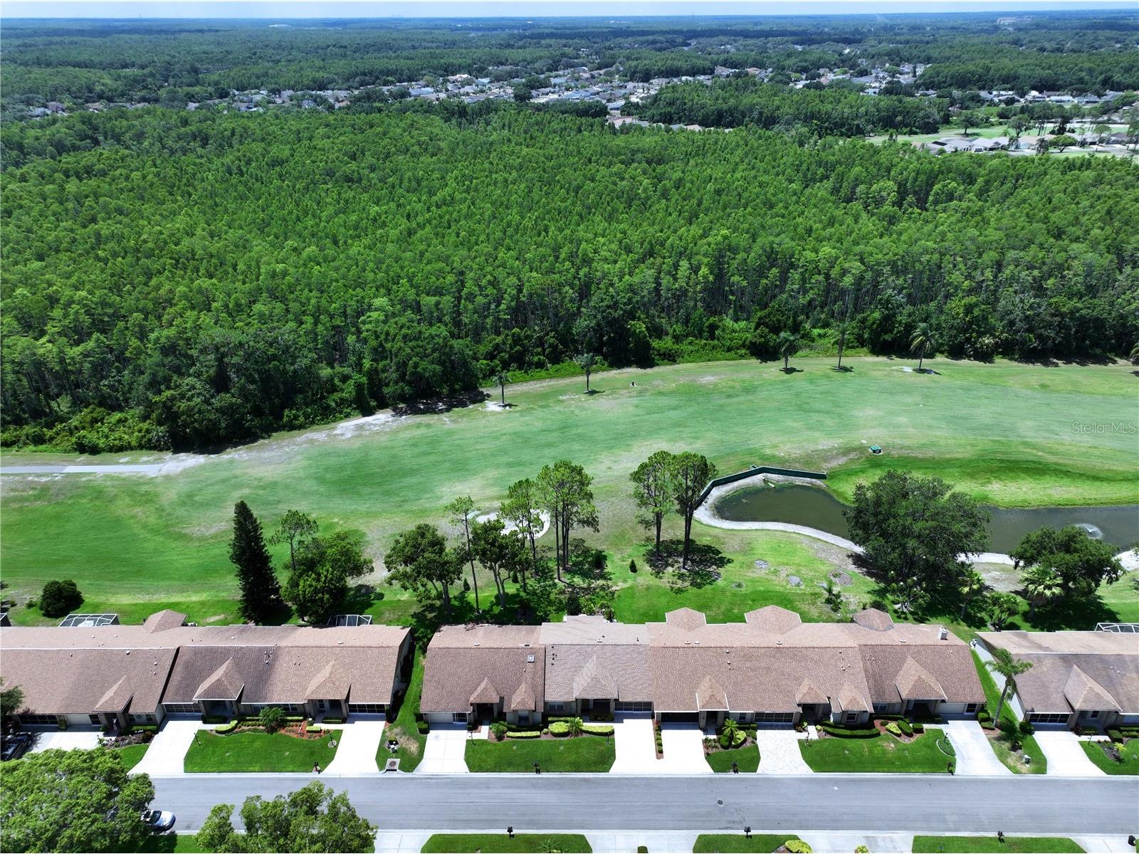 9726 Sweeping View Drive New Port Richey FL 34655 TB8525638 image51