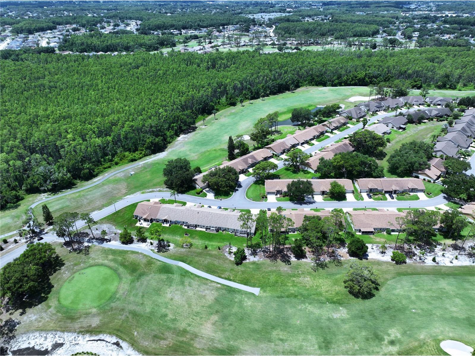 9726 Sweeping View Drive New Port Richey FL 34655 TB8525638 image65