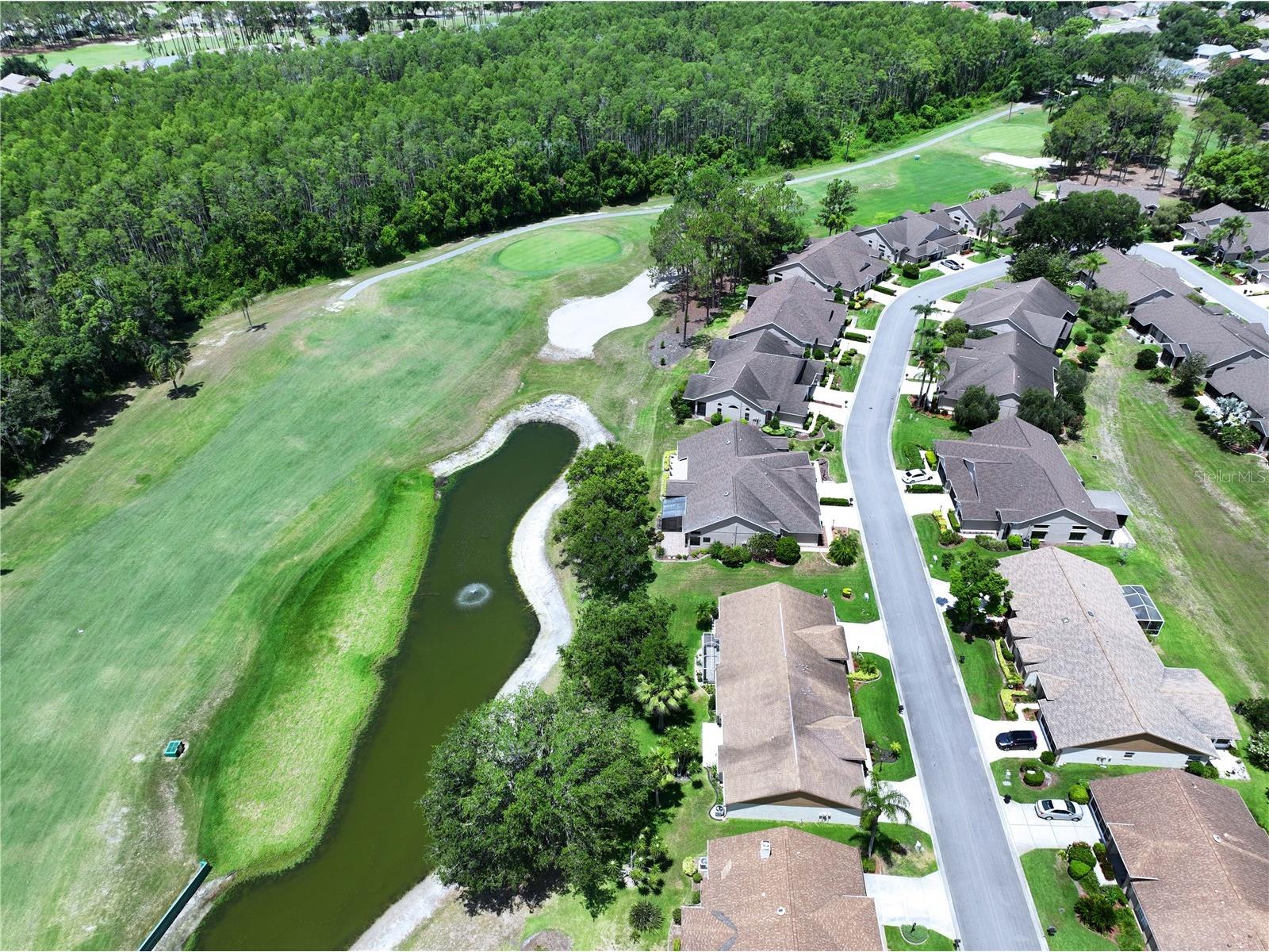 9726 Sweeping View Drive New Port Richey FL 34655 TB8525638 image66