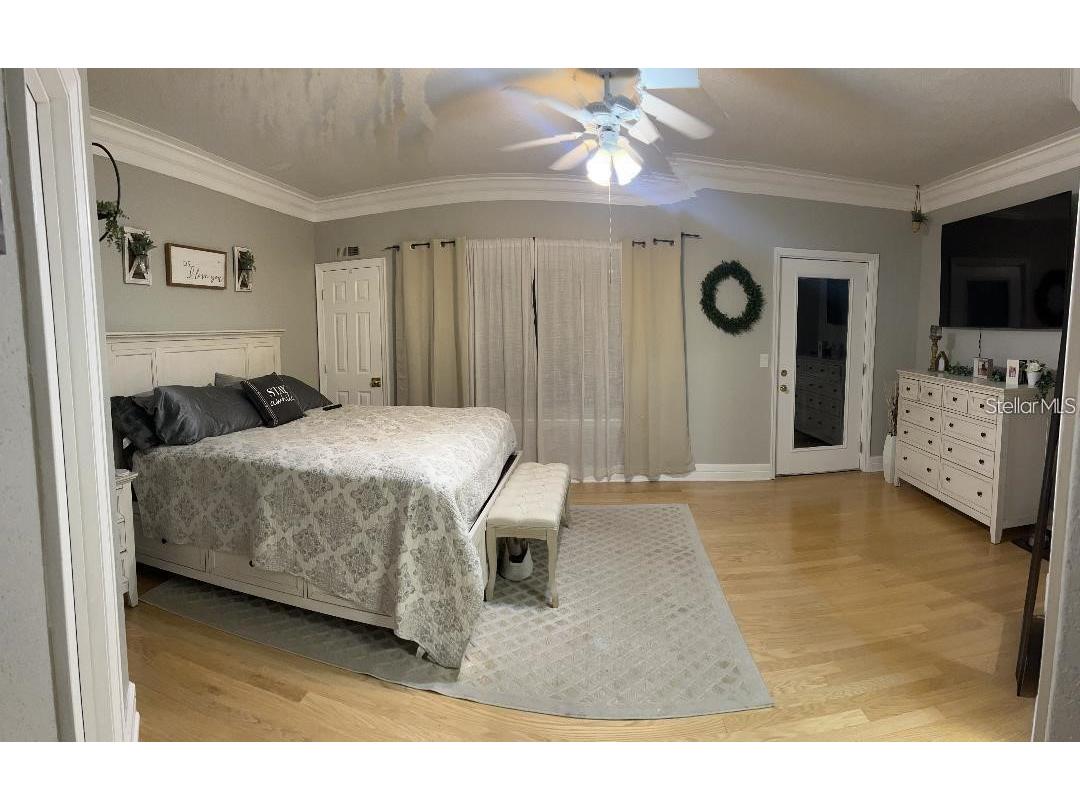 9726 Tiffany Oaks Lane #9726 Tampa FL 33612 TB8506528 image16