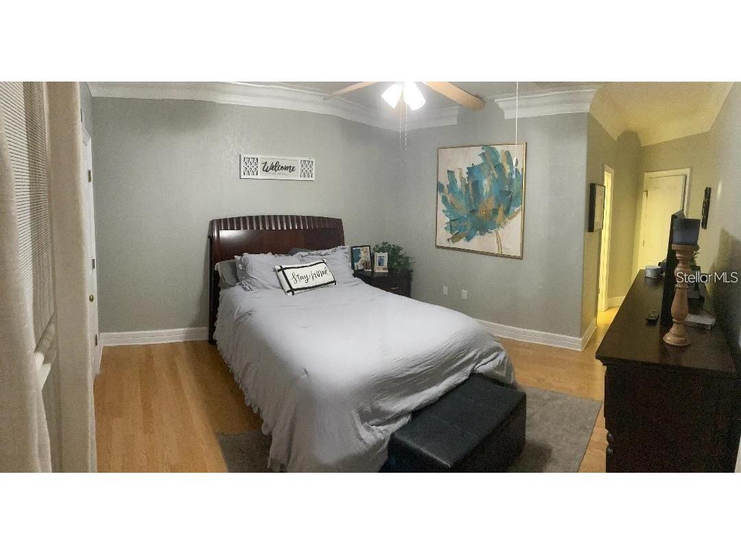 9726 Tiffany Oaks Lane #9726 Tampa FL 33612 TB8506528 image19