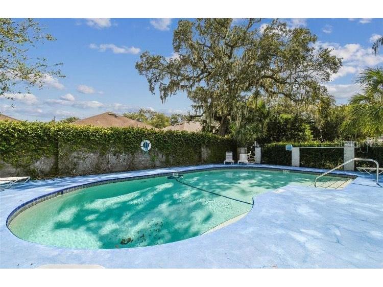 9726 Tiffany Oaks Lane #9726 Tampa FL 33612 TB8512139 image16