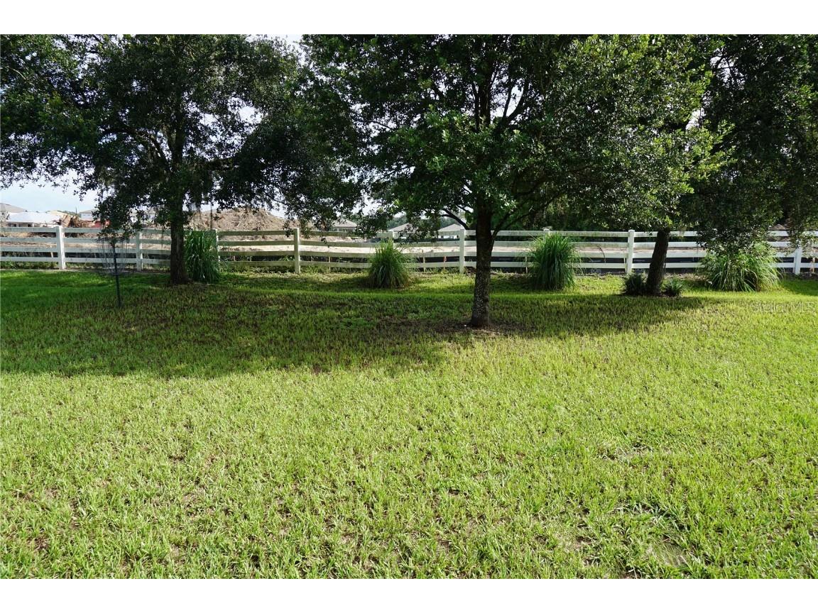 9726 Troncais Circle Thonotosassa FL 33592 TB8414973 image31