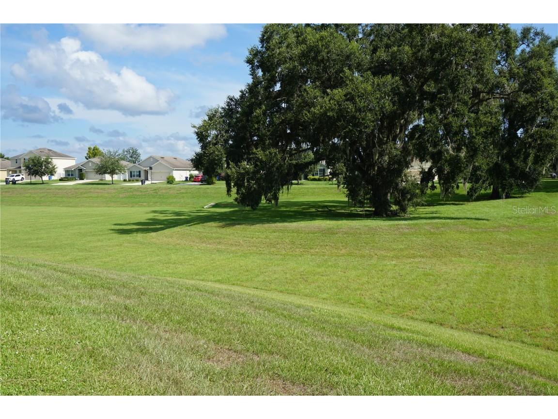 9726 Troncais Circle Thonotosassa FL 33592 TB8414973 image32