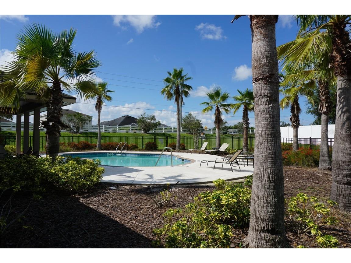 9726 Troncais Circle Thonotosassa FL 33592 TB8414973 image34