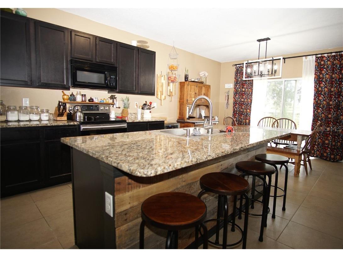 9726 Troncais Circle Thonotosassa FL 33592 TB8414973 image6