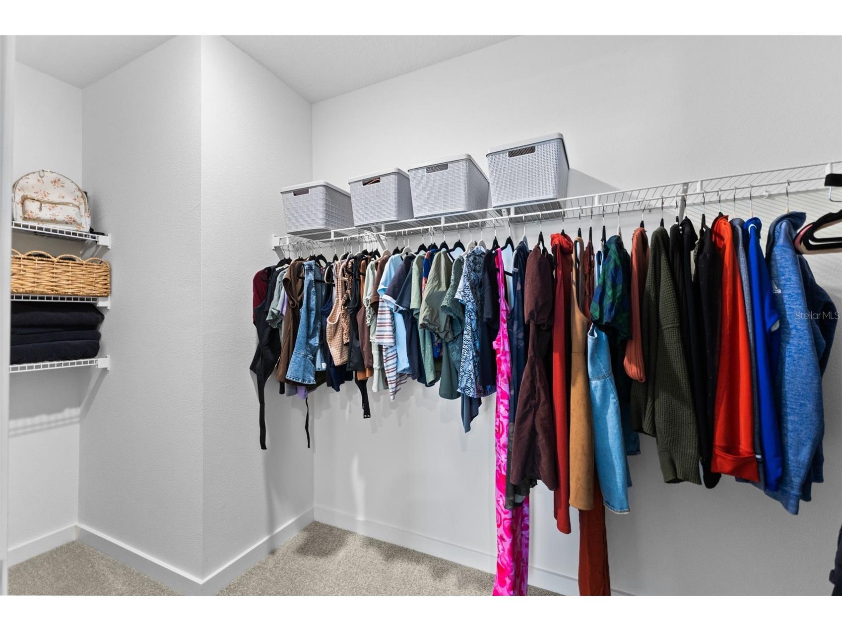 9728 Crescent Ray Drive Wesley Chapel FL 33545 TB8522710 image37