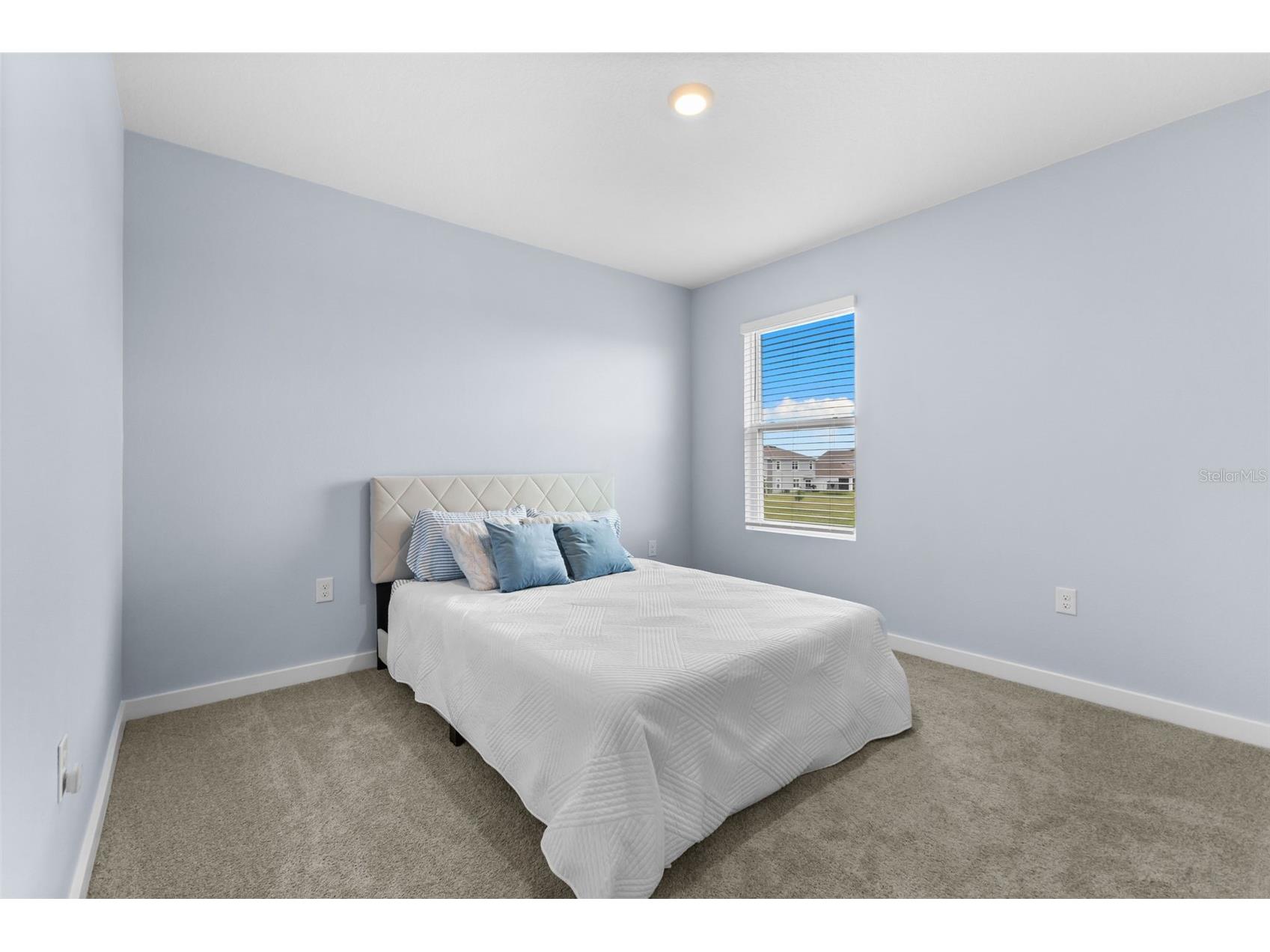 9728 Crescent Ray Drive Wesley Chapel FL 33545 TB8522710 image47