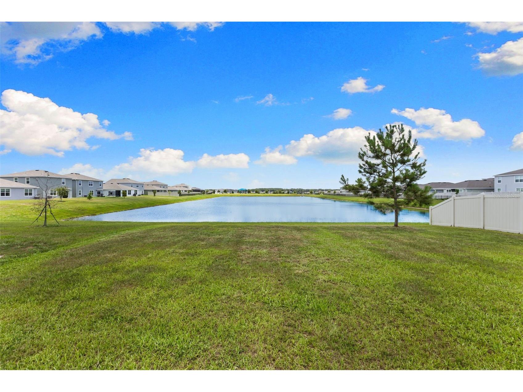 9728 Crescent Ray Drive Wesley Chapel FL 33545 TB8522710 image56