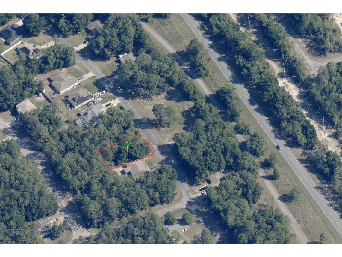 9728 N Sandree Drive Citrus Springs FL 34434 OM697439 image1