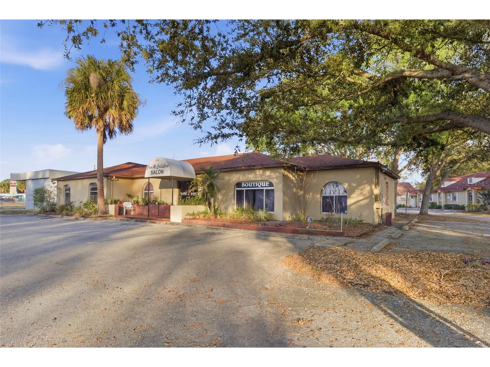 9729 N Armenia Avenue Tampa FL 33612 TB8485216 image3