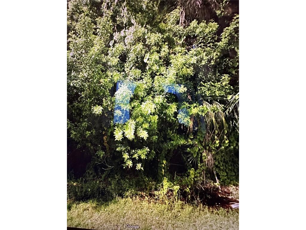 973 Bartram Street SW Palm Bay FL 32908 O6214564 image1