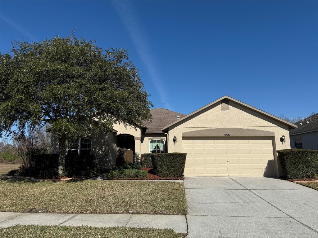 9730 Asbel Estates St Land O Lakes FL 34638 TB8343992 image1