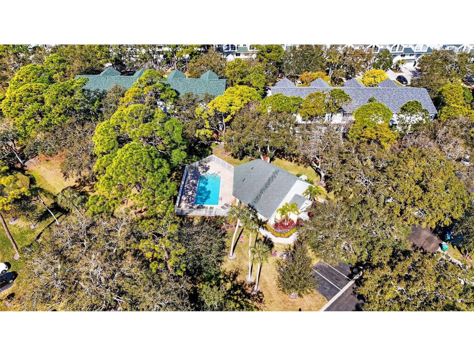 9730 Indian Key Trail #114 Seminole FL 33776 TB8470448 image50