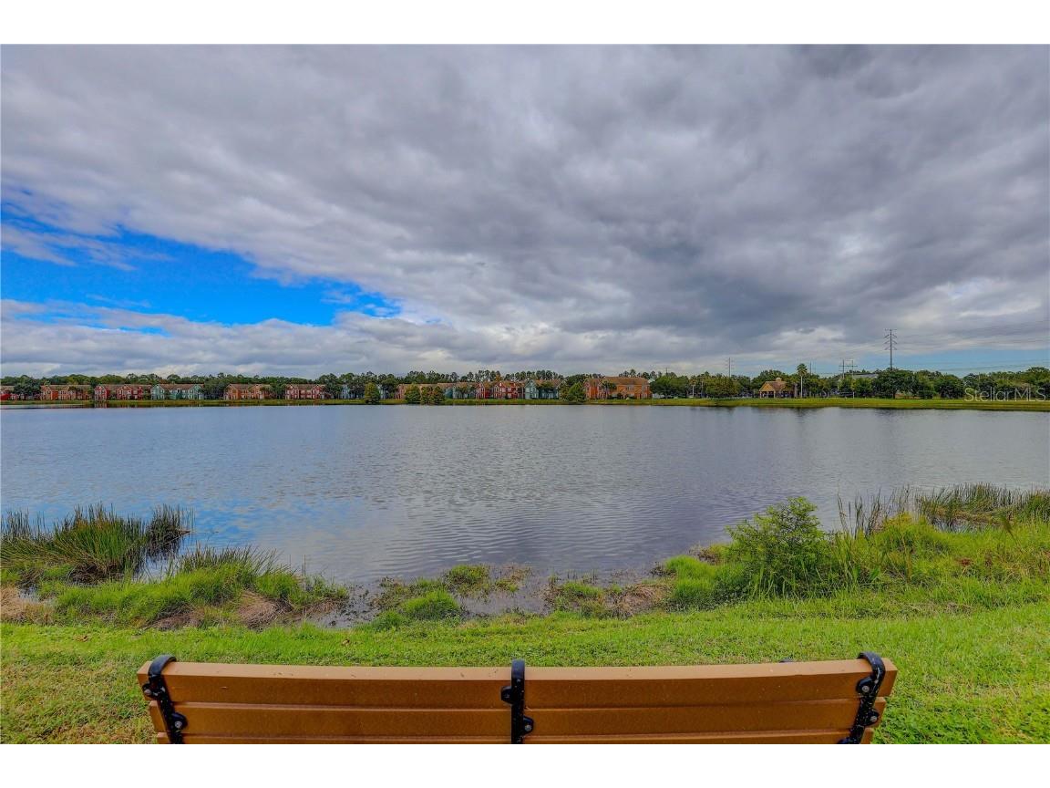 9730 Lake Chase Island Way #9730 Tampa FL 33626 TB8443622 image42