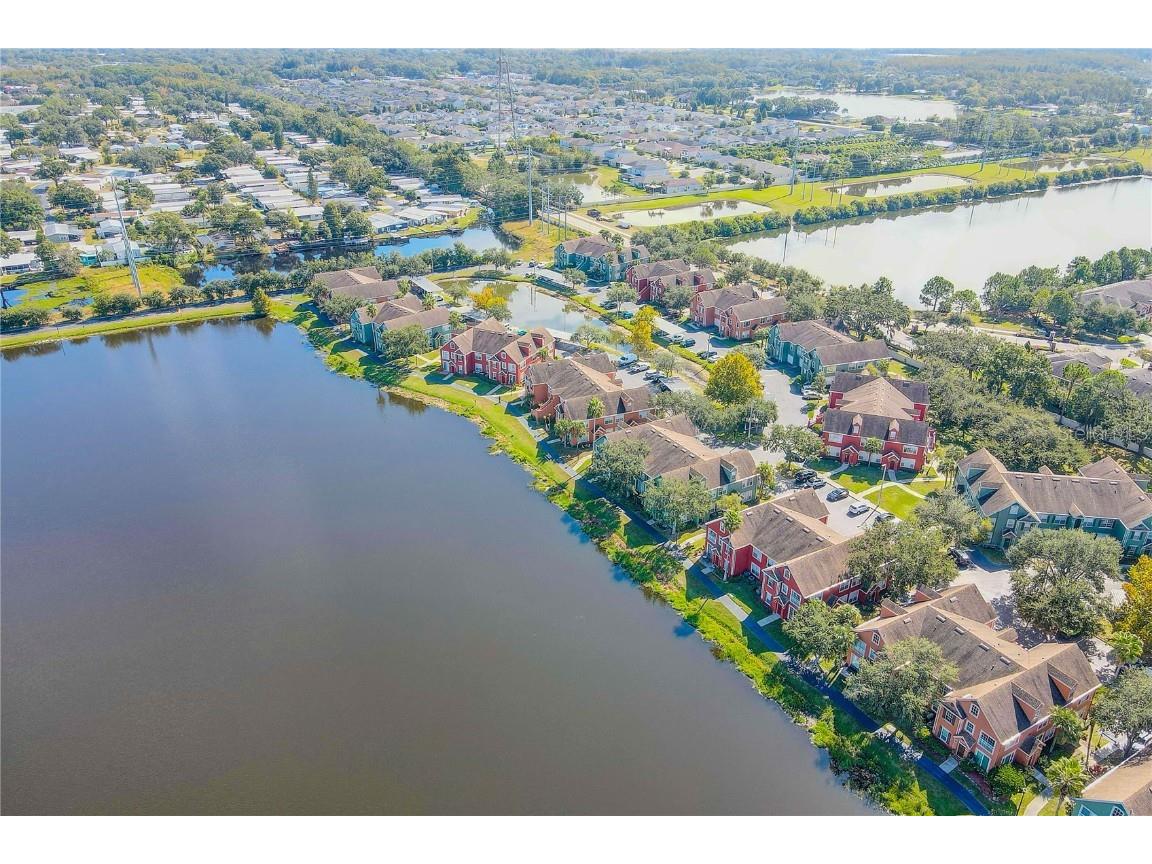 9730 Lake Chase Island Way #9730 Tampa FL 33626 TB8443622 image50