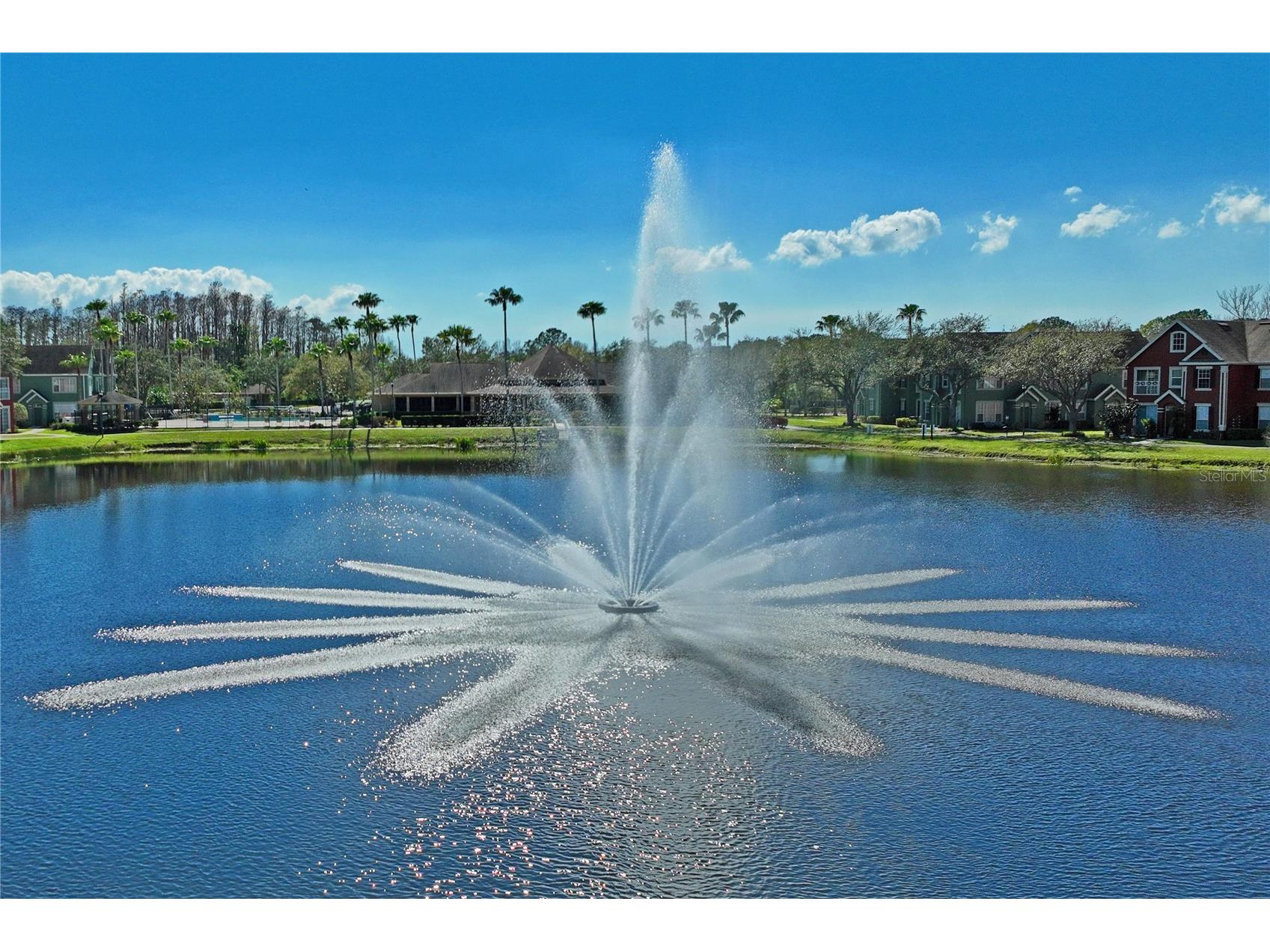 9730 Lake Chase Island Way #9730 Tampa FL 33626 W7882031 image38