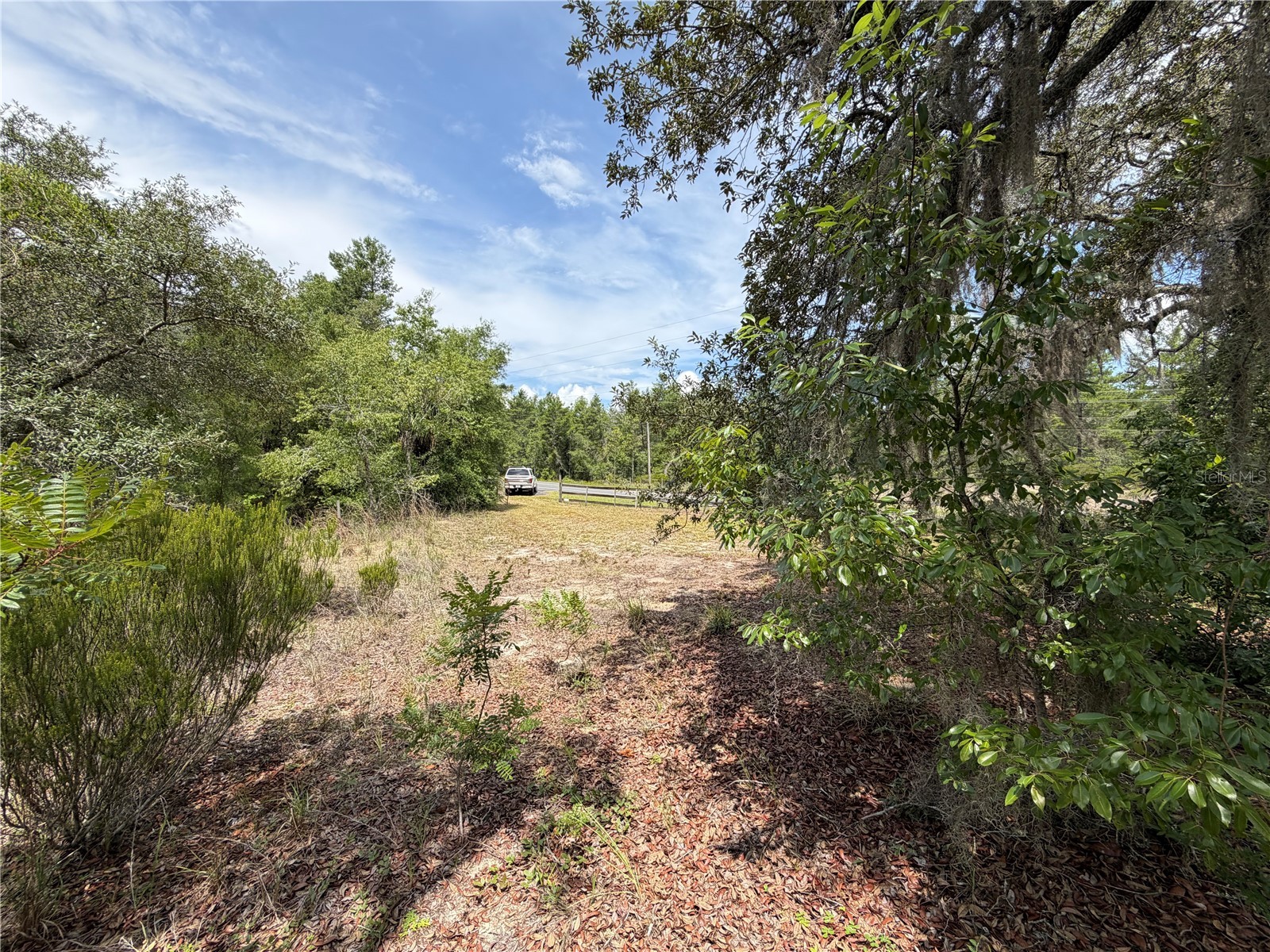 9730 NE State Road 24 Archer FL 32618 OM727640 image11
