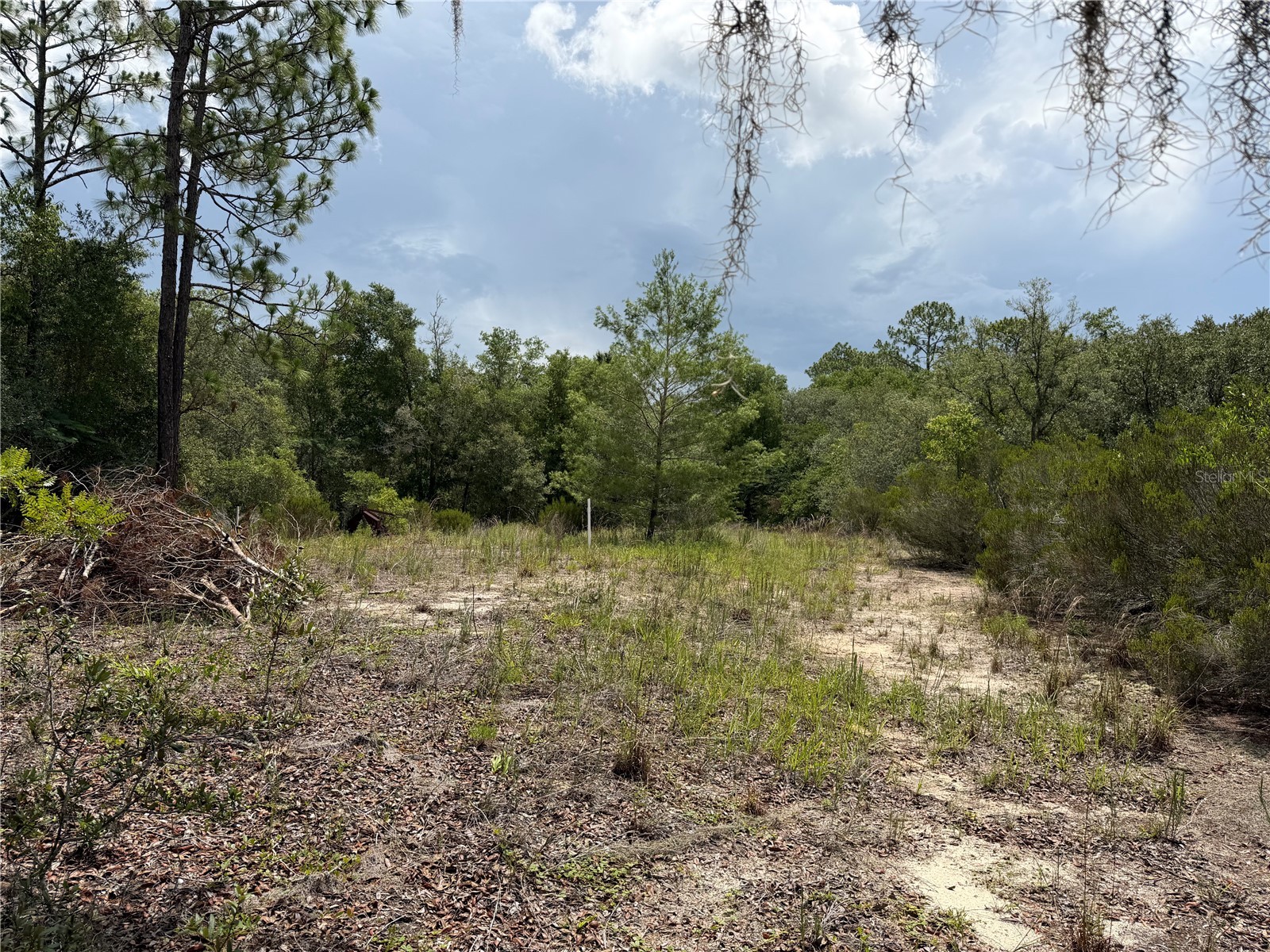 9730 NE State Road 24 Archer FL 32618 OM727640 image12