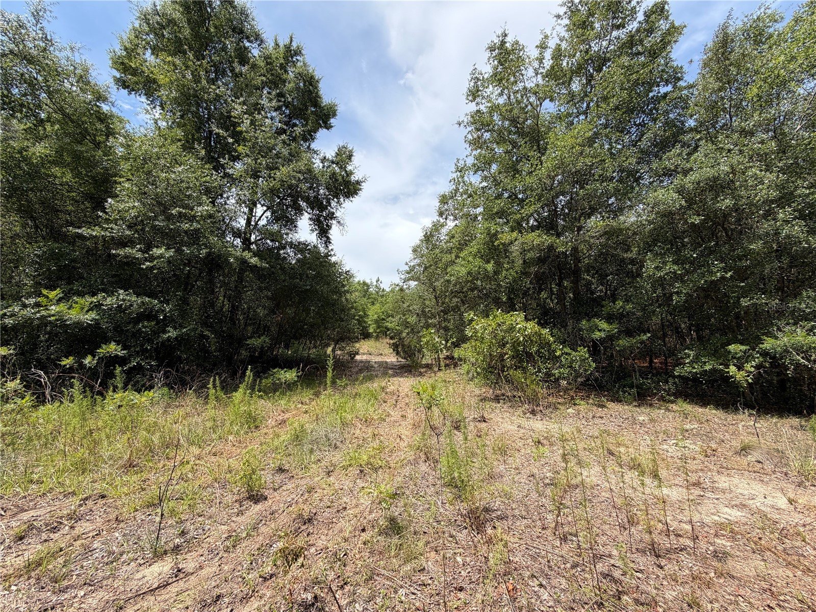 9730 NE State Road 24 Archer FL 32618 OM727640 image13
