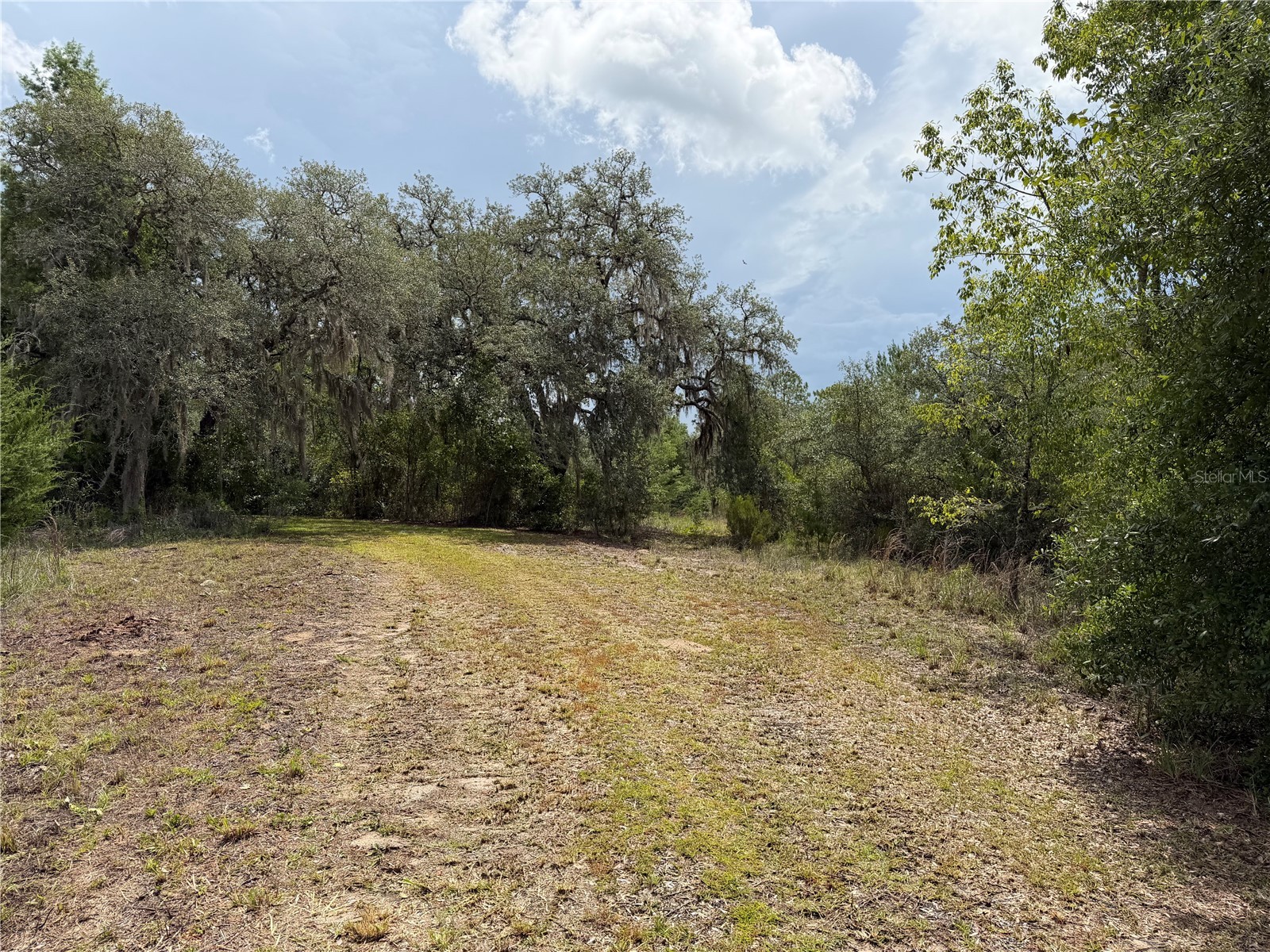 9730 NE State Road 24 Archer FL 32618 OM727640 image14