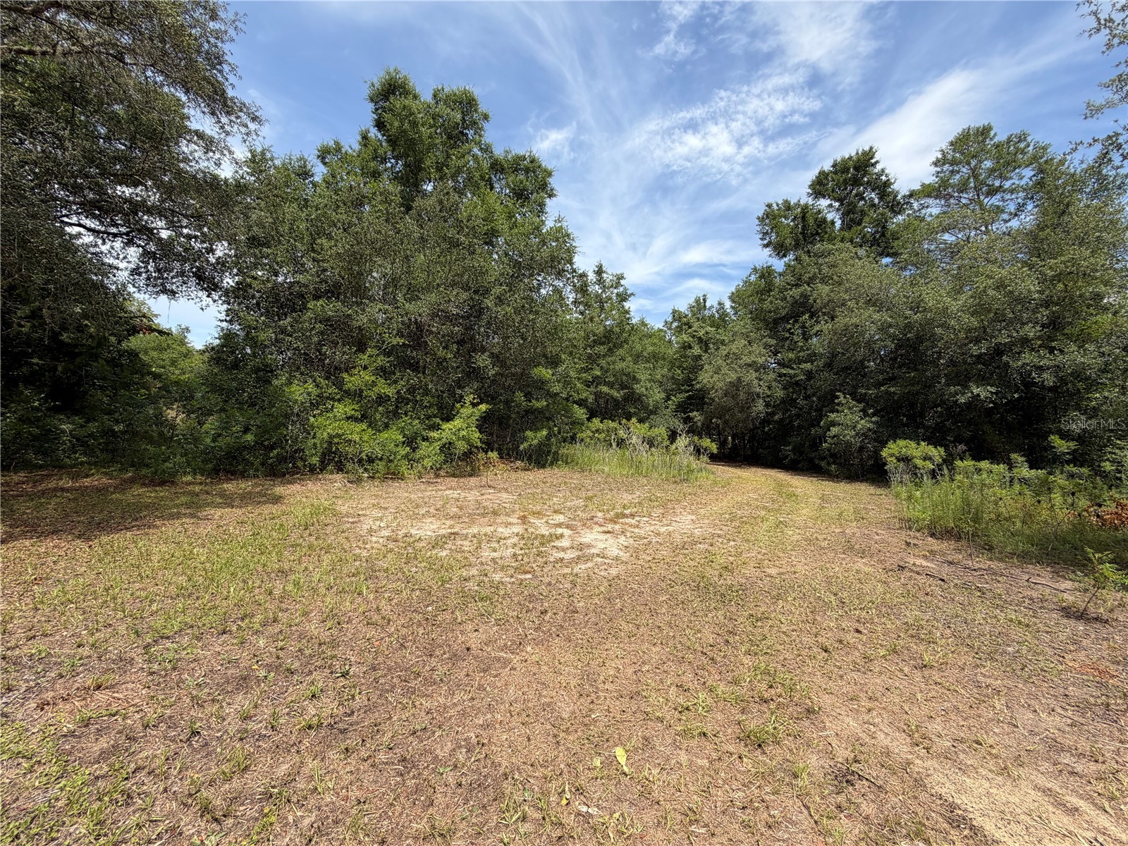 9730 NE State Road 24 Archer FL 32618 OM727640 image15