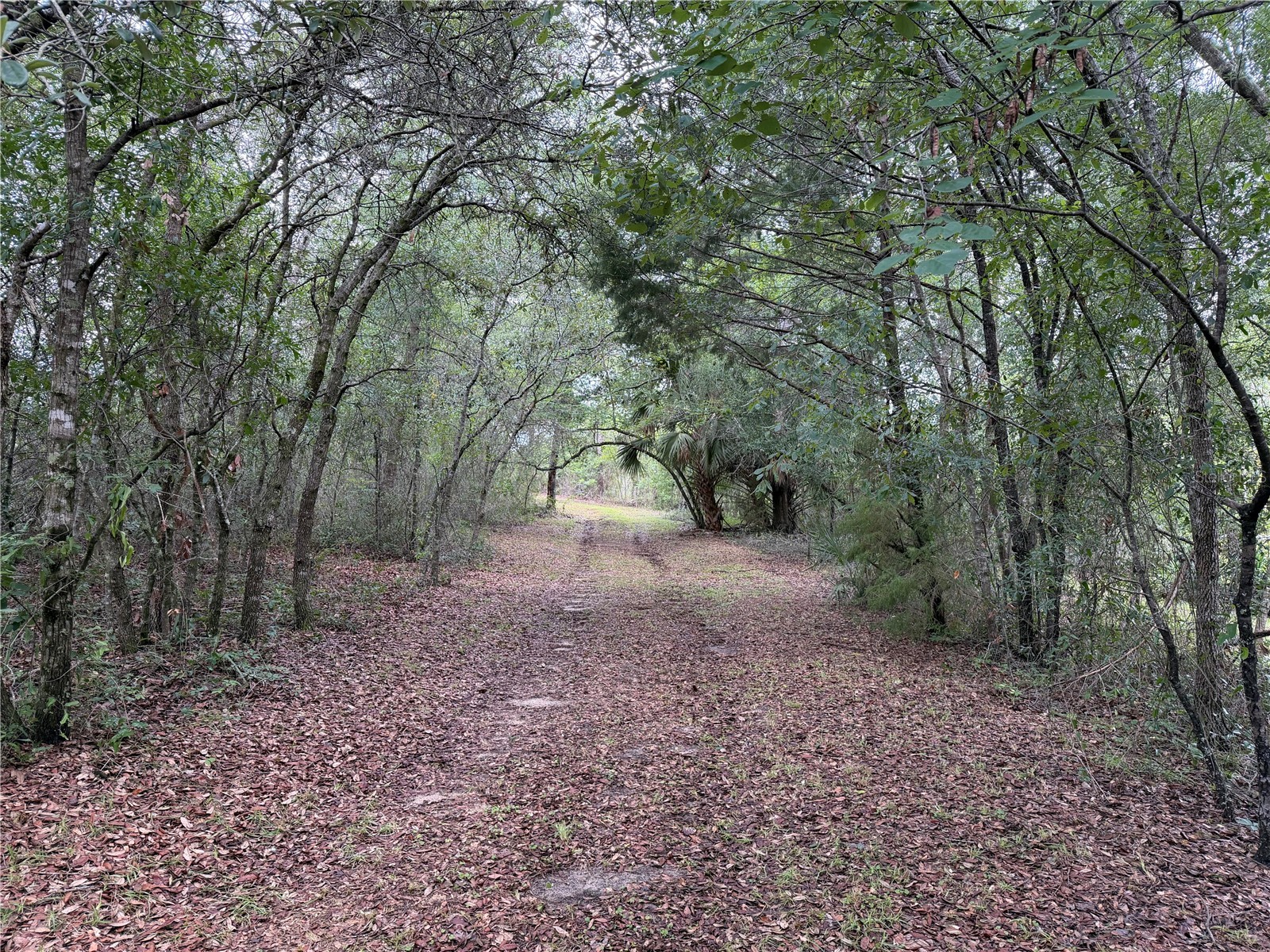 9730 NE State Road 24 Archer FL 32618 OM727640 image16