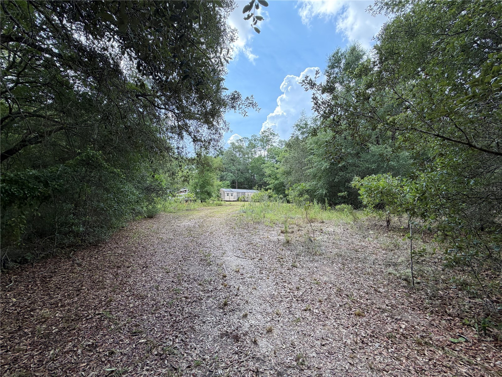 9730 NE State Road 24 Archer FL 32618 OM727640 image17