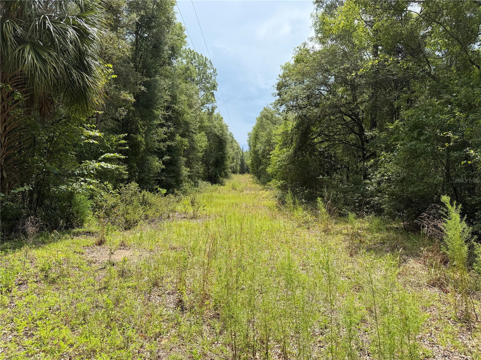 9730 NE State Road 24 Archer FL 32618 OM727640 image18