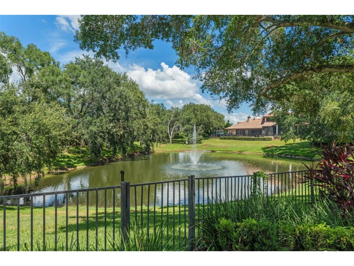 9731 Chestnut Ridge Drive Windermere FL 34786 - LAKE BUTLER CHAIN OF LAKES O6336655 image51