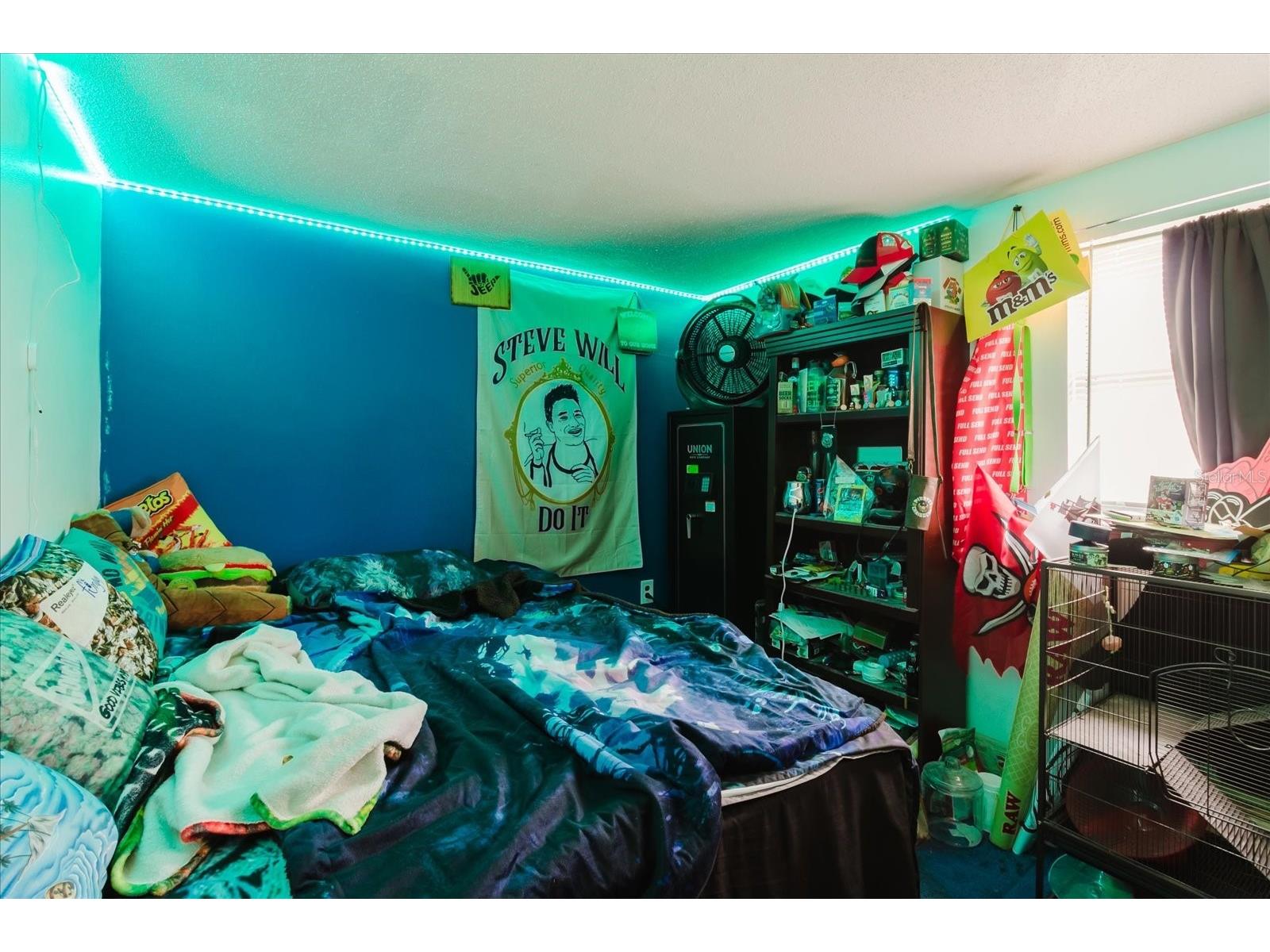 9731 Rainbow Lane Port Richey FL 34668 TB8474892 image49
