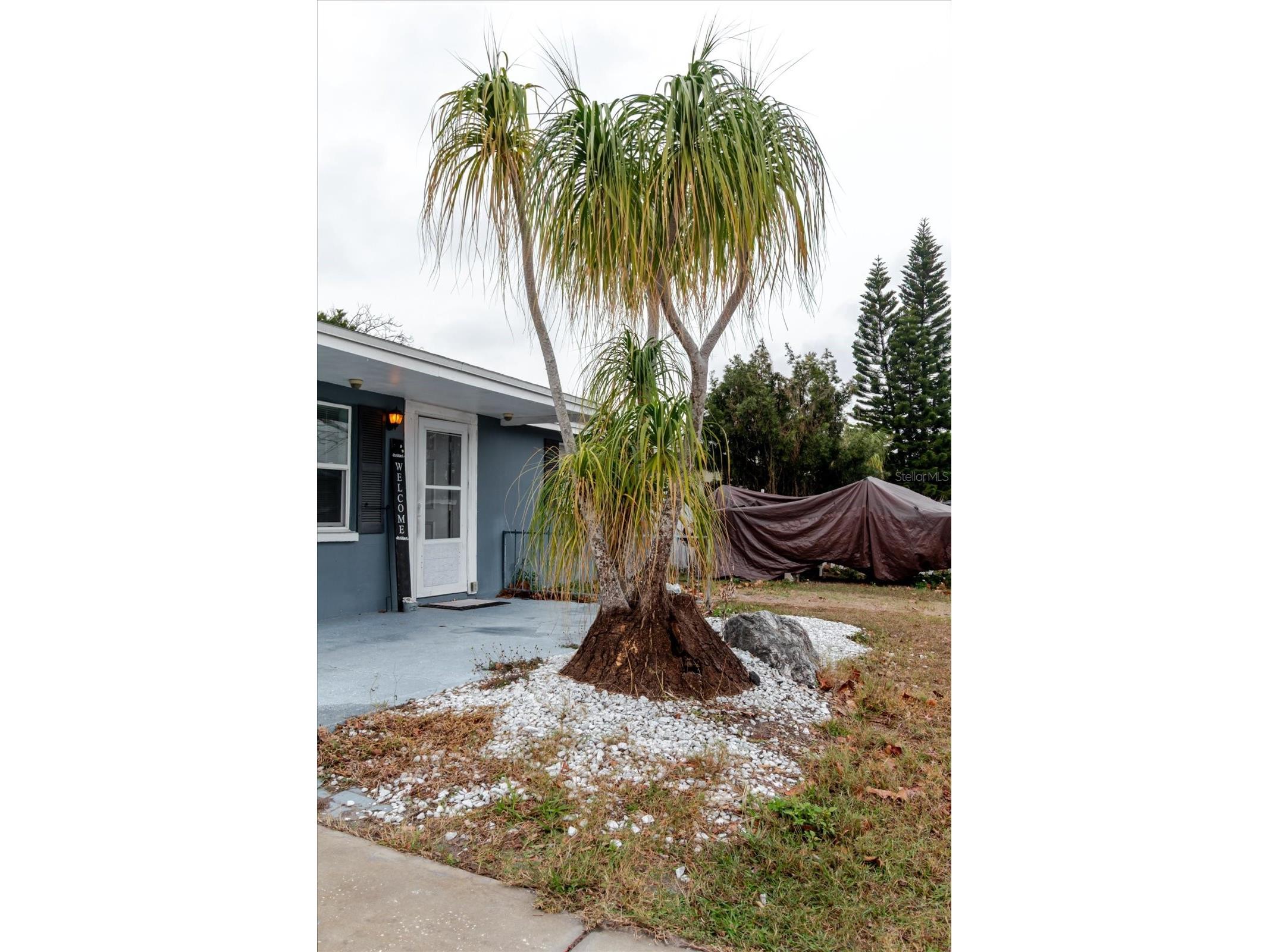 9731 Rainbow Lane Port Richey FL 34668 TB8474892 image68