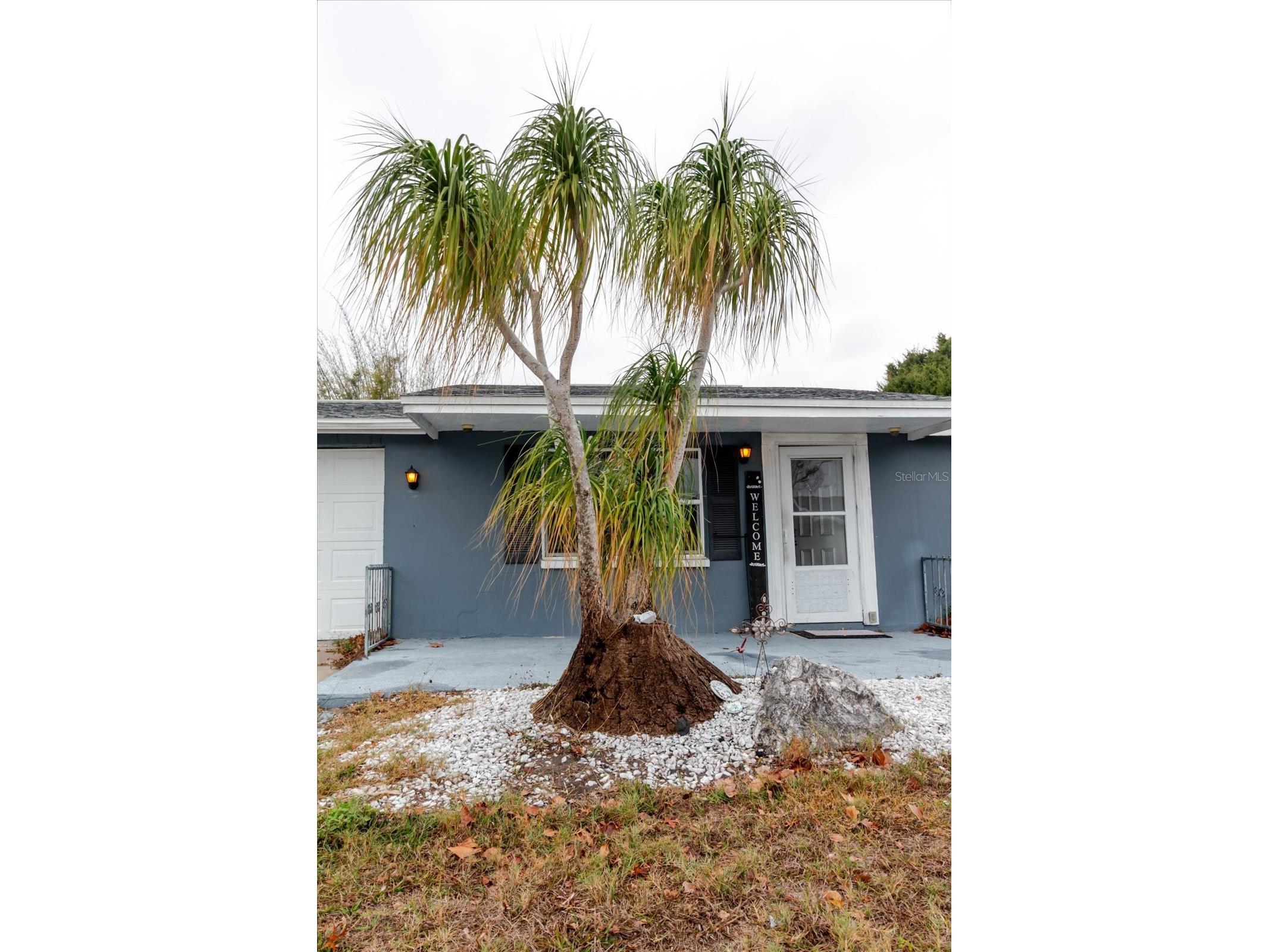 9731 Rainbow Lane Port Richey FL 34668 TB8474892 image69