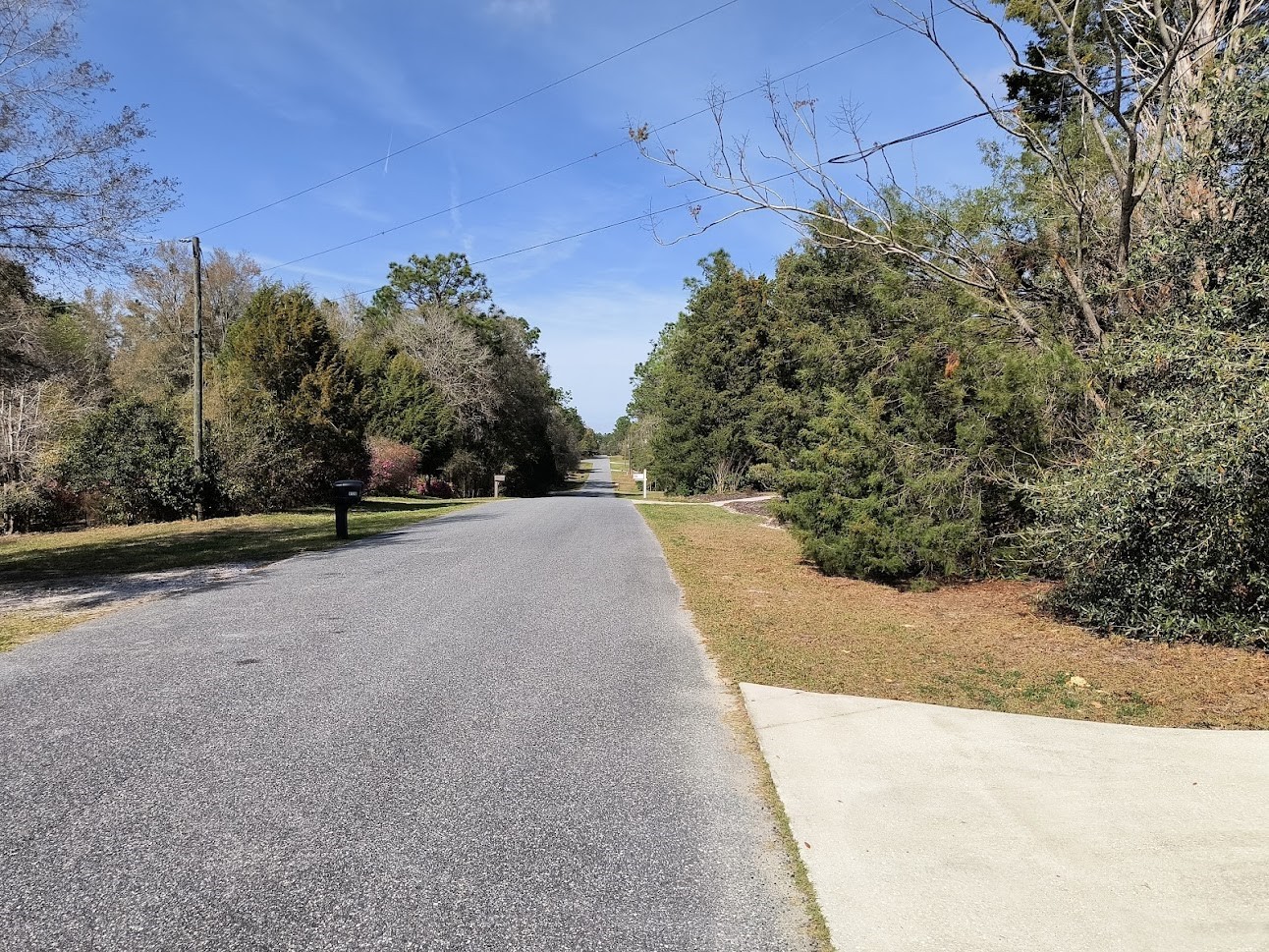 9731 SW 200th Court Dunnellon FL 34431 OM725933 image17